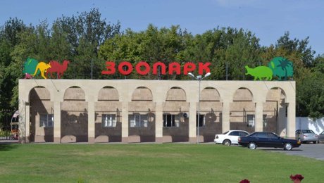 Шымкент зообағы туған күн жасайтын орын ба?